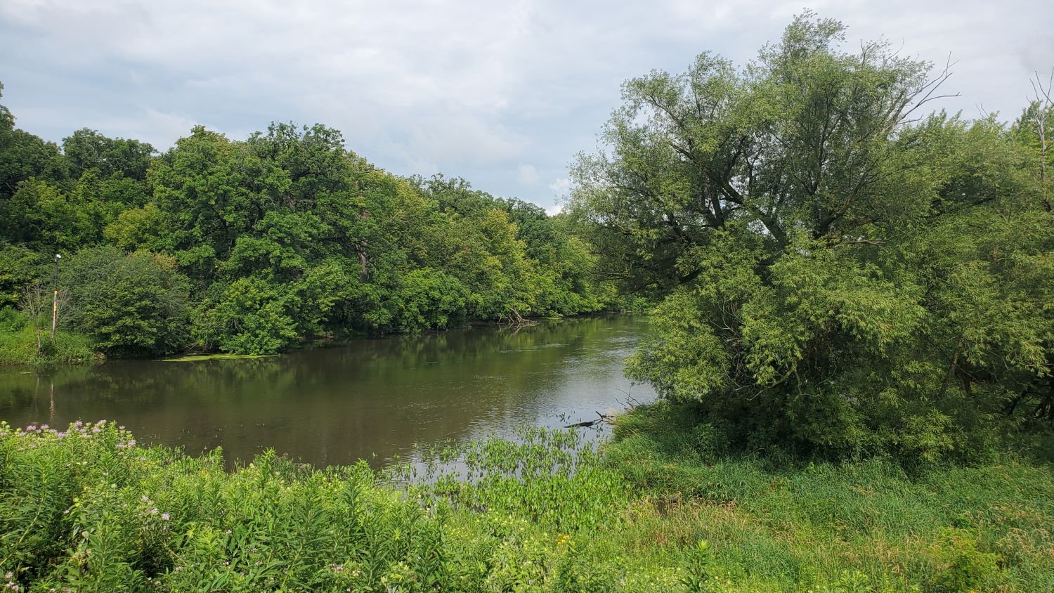 McDowell Grove Forest Preserve 